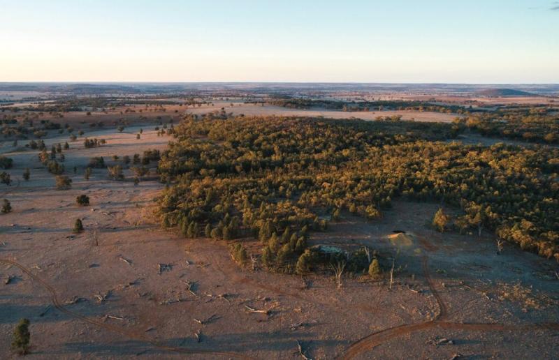 澳大利亞戰略材料公司：堆浸法或降本增效促稀土生產