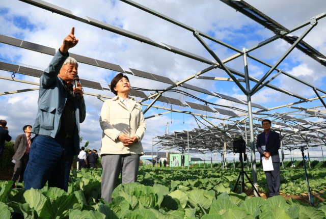 韓國推進農業光伏項目法案制定與產業部署