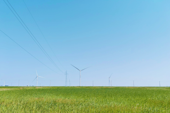 全球最大單體綠氨裝置——大安風光制綠氫合成氨一體化風電項目全容量并網