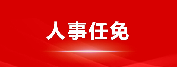 孫超亮任中國西電副總經(jīng)理